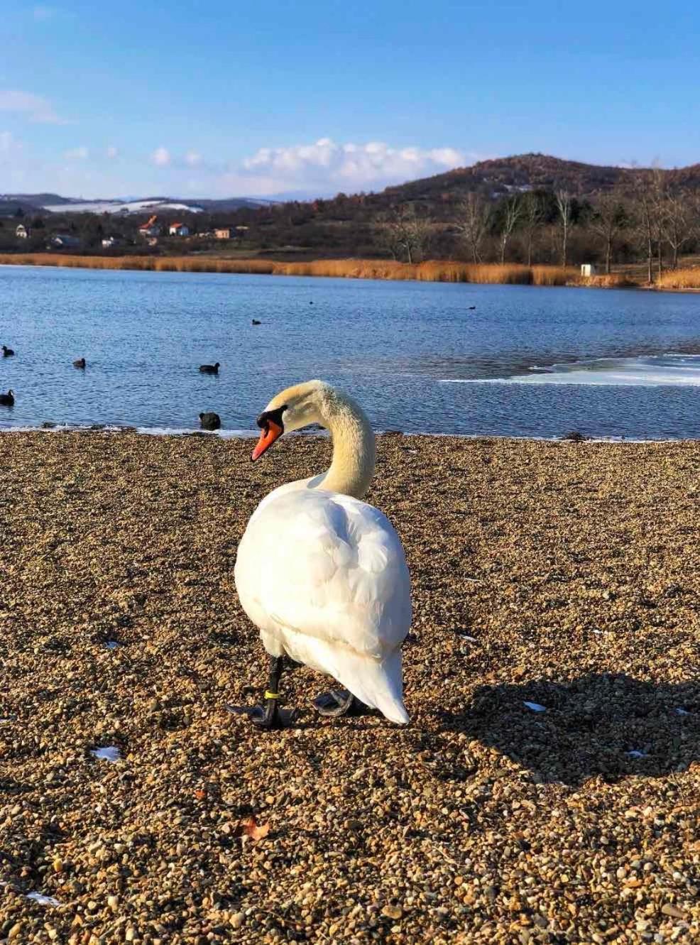 Garni Hotel Oblacinsko Jezero Oblacina Εξωτερικό φωτογραφία