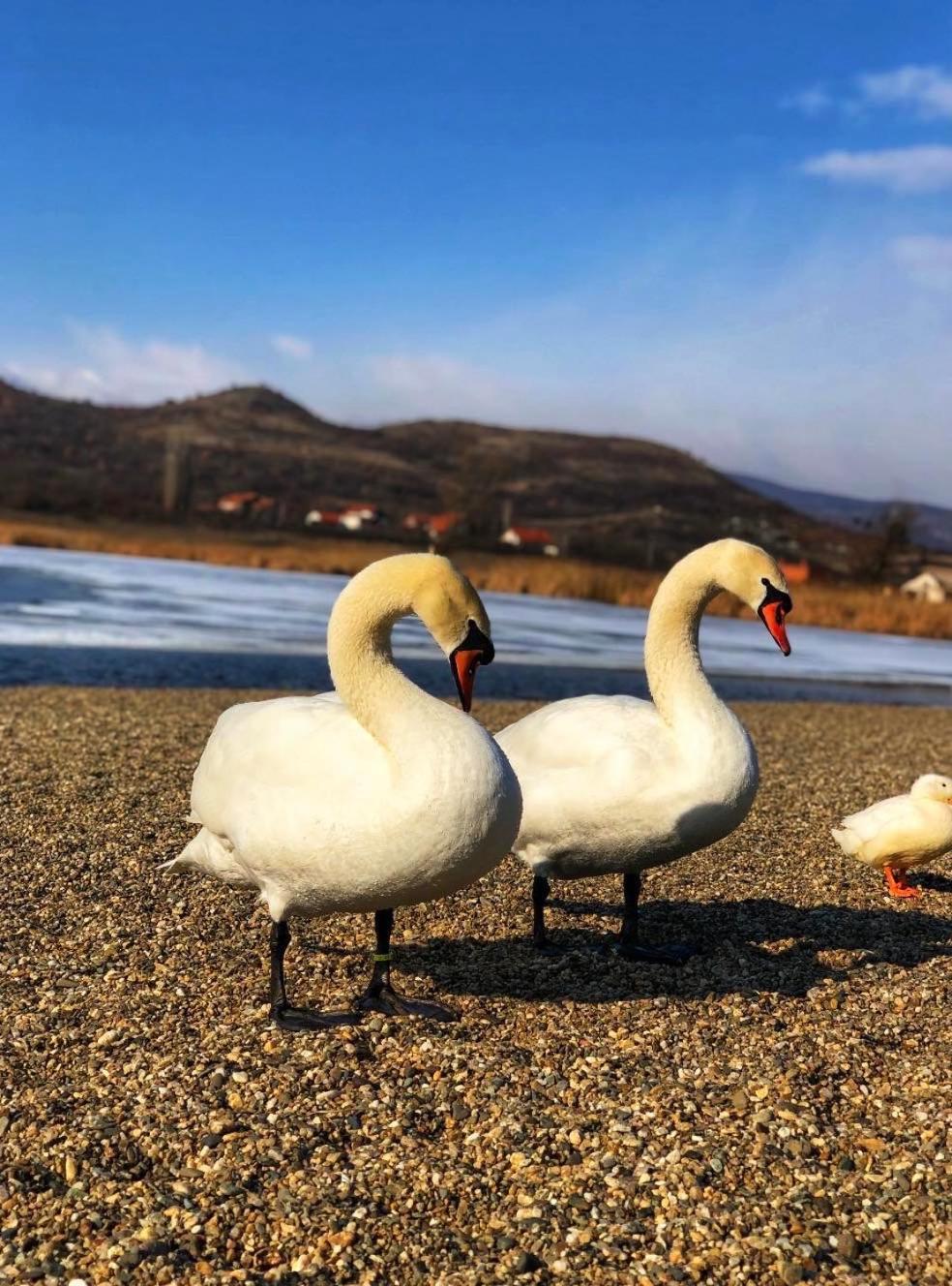 Garni Hotel Oblacinsko Jezero Oblacina Εξωτερικό φωτογραφία